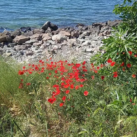 شقة Nessebar, South Beach, Larisa,