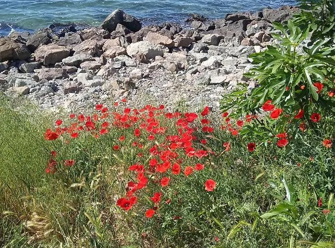 Апартамент Nessebar, South Beach, Larisa,